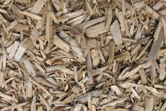 biomass boilers Penallt
