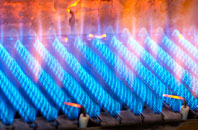 Penallt gas fired boilers